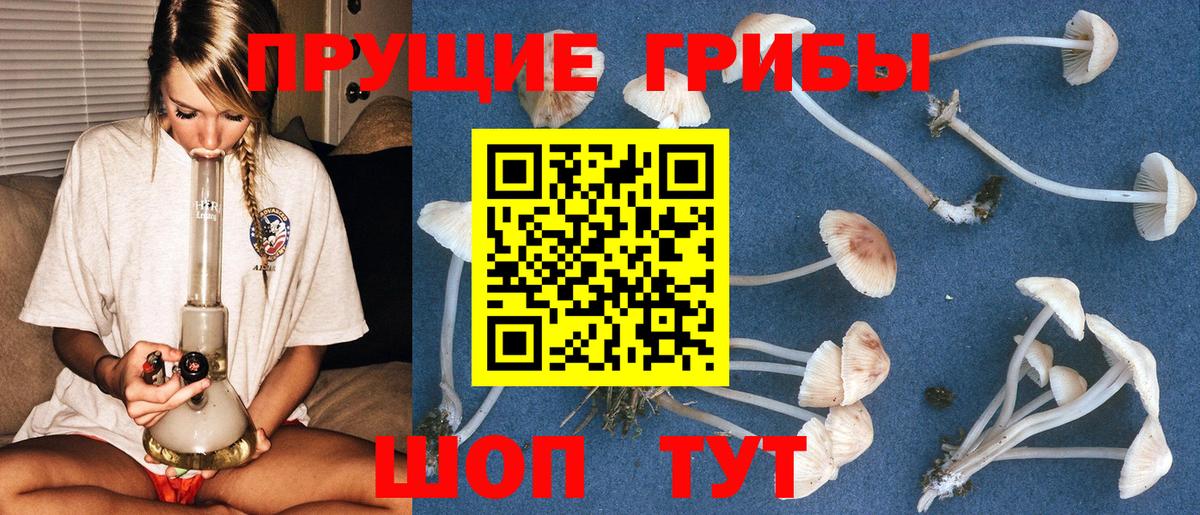 Майский  Псилоцибиновые грибы мухоморы  Вход с VPN 